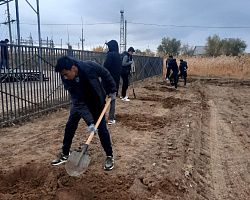 Студенты Володарского филиала приняли участие во Всероссийском экологическом субботнике «Зелёная Россия»